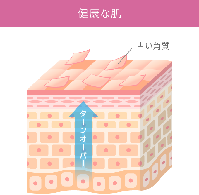 健康な肌